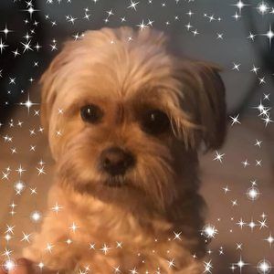 Meet your Posher, Paty